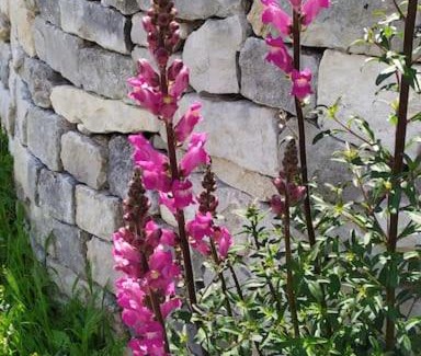 Mejannes-le-Clap Bed & Breakfast | La Dourmide