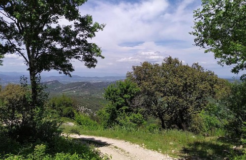 Mejannes-le-Clap Bed & Breakfast | La Dourmide