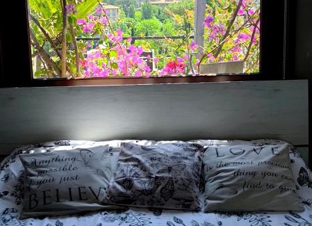 Quartiere XXXI Giuliano Dalmata Apartment | la farfalla blu