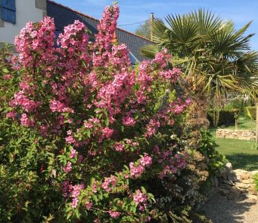 Audierne Bed & Breakfast | La Ferme de Kérivoas