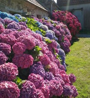 Plestin-les-Greves Bed & Breakfast | La ferme de Lec'h Hameury