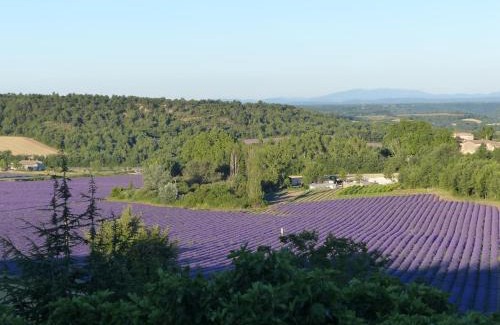 Moustiers-Sainte-Marie Bed & Breakfast | La Ferme du petit Ségriès Bed and Breakfast