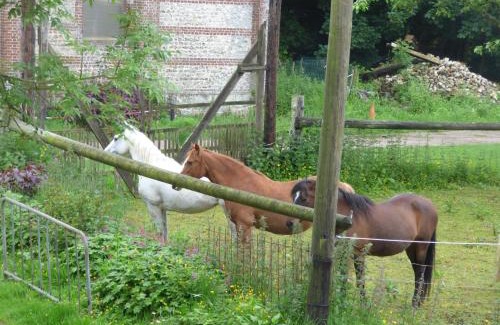 Bordeaux-Saint-Clair House | La Ferme du Manoir Etretat