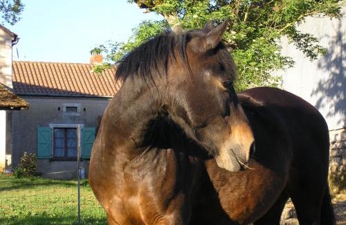 Berganty Bed & Breakfast | LA FERME JARLAN