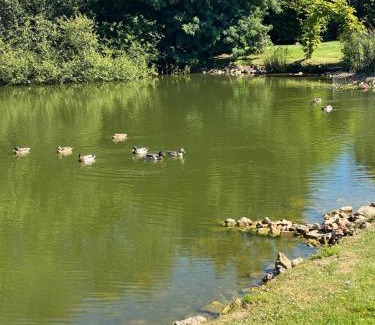 Savigny-Levescault House | La Fermette Aux Canards