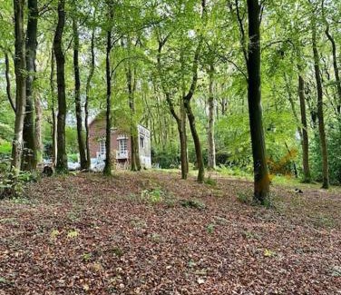 Ault House | LA FEUILLÉE, Charmante Maison au Bois de Cise
