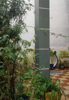 Kalapettai Apartment | La FRANCE Villa