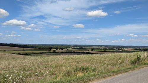 Chevenon House | La gargolette