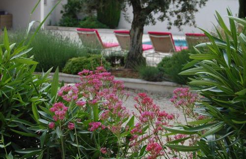 Cabannes Bed & Breakfast | La Goutadou