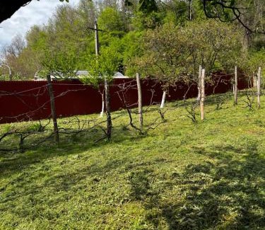 Mehadia Other | La Grădina