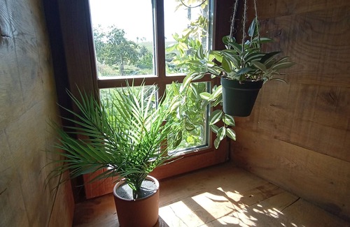 Onhaye House | La Grange de Fter Entourée par la Nature, les Bois, des Champs et un Étang!