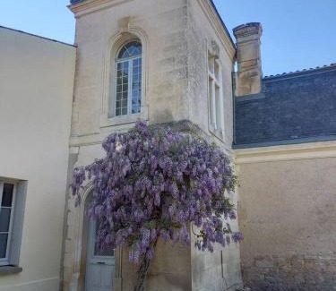 Saintes Apartment | La Grelauderie 1