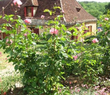 Sainte-Alvere House | La Guelta