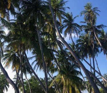 Himmafushi Hotel | La Isla Bonita Maldives
