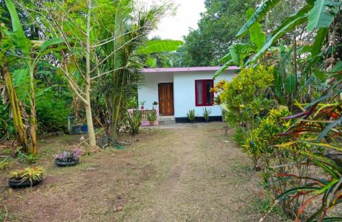 Varkala House | La ixora