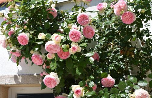 La Jarrie Bed & Breakfast | La Jarrie Leduc