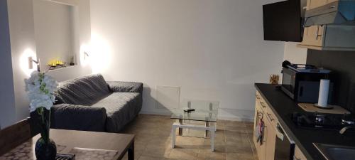 Labastide-de-Levis Apartment | La lisière tarnaise