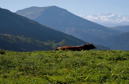 Margolles Cottage | La Llanada holiday home, mountain 15 mnt from the beach