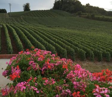 Vauciennes House | La Loge Du Vigneron