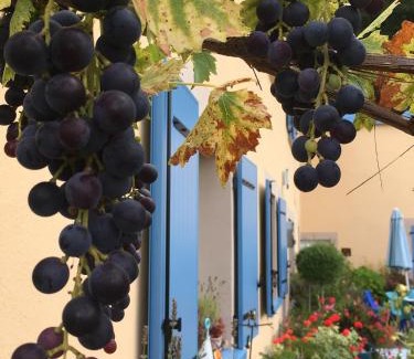 Saint-Barthelemy Bed & Breakfast | La Mésange bleue
