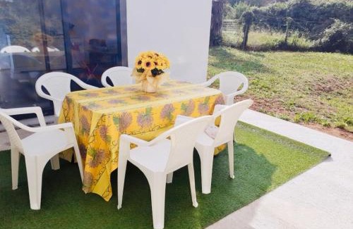 Le Riols House | La maison aux volets bleus