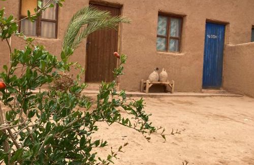 M'Hamid El Ghizlane Bed & Breakfast | La Maison-Berbère Mhamid