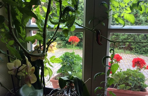 Dalhem Bed & Breakfast | La Maison d'Achille, demeure de famille au Pays de Herve