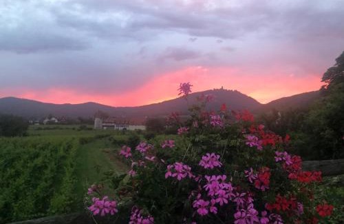 Saint-Hippolyte Bed & Breakfast | La Maison de juliette