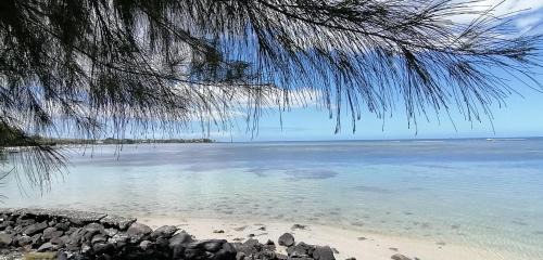 Morcellement Raffray Bed & Breakfast | La Maison de la plage - Guest House