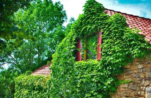 Compeyre House | La maison des bois