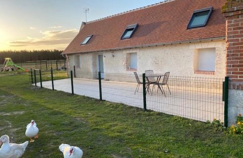 Romorantin-Lanthenay House | La maison des canards