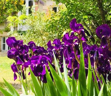Moulins Bed & Breakfast | La Maison des Roses