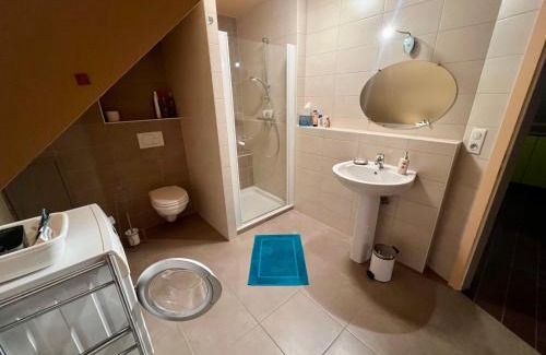 Orschwiller Apartment | La maison des vignerons