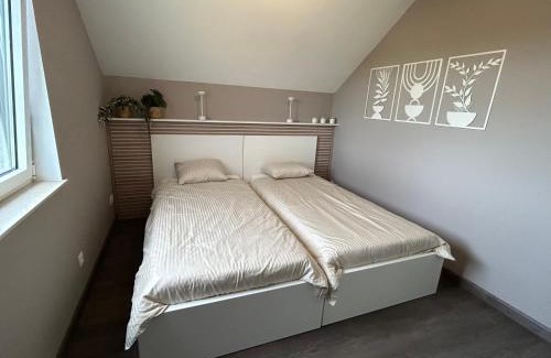 Froidchapelle House | La maison du Gouty