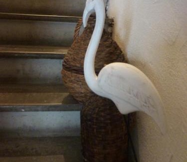 Maraussan Bed & Breakfast | La Maison narbonnaise
