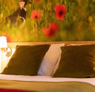 Lamotte-Beuvron Hotel | La Maison TATIN