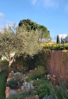 Lorgues House | La Maisonnette de vacances avec piscine privée pour 2 pers