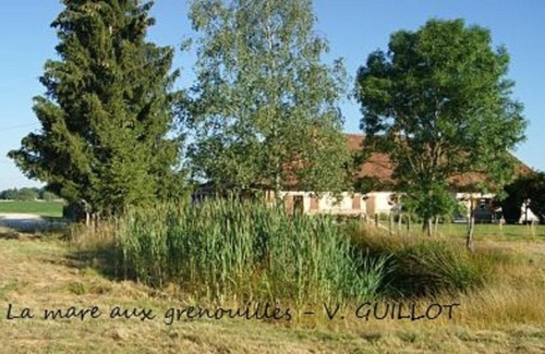 Bruailles Bed & Breakfast | La mare aux grenouilles