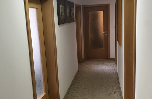 Timisoara House | La Masion Paul de inchiriat in regim hostel & apartament