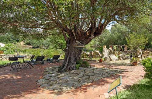Arzachena House | La Mesenda