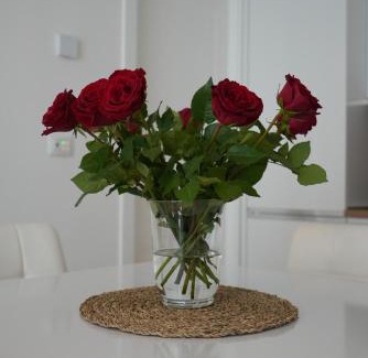Zona IV Casal Boccone Apartment | La Mia Casa Romana