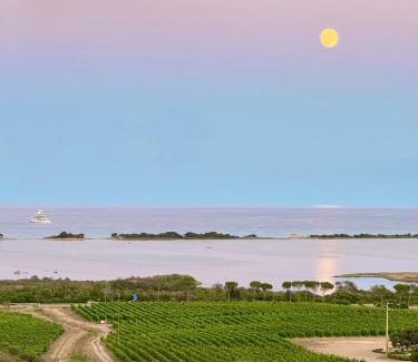 San Teodoro Bed & Breakfast | La Minditta