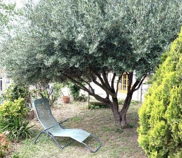 Marseillette Villa | LA MUSCADELLE : le calme du sud de la France