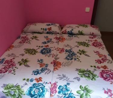 Tineo Apartment | La Niña