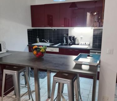 Musicians Quarter Apartment | la palais osiris Nice centre jardin wifi clim parking