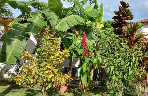 Cambutal Bed & Breakfast | La Pepita de Cambutal