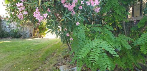 Quillan House | LA PETITE BICOQUE au fond du jardin