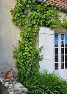 Saint-Come-de-Fresne House | La petite chouette