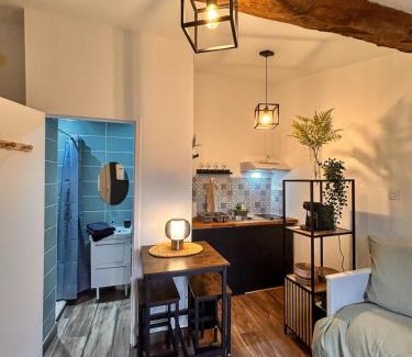 Montauban Apartment | La Petite Escale Studio de 16m2