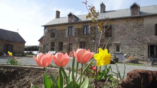 Villiers-Fossard House | La Petite Houssaye Gite
